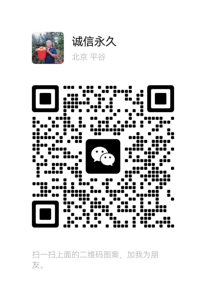 mmexport1766047046567